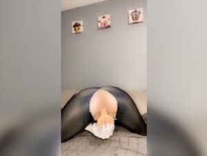 xmissivyx Spidergwen