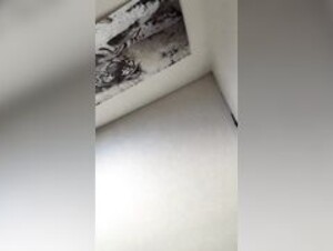 Darling boo just audio fingering