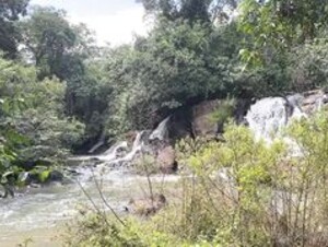 a loira praiana OnlyFansCachoeira do Veloso interior de São paulo
