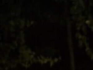 99 MOONS (2022)