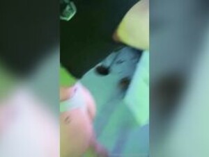 Cupofchaii leak