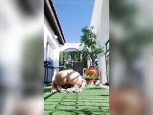 amyoga yoga