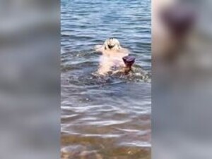 Prainha pedregulho Rio Paraná divisa de São Paulo com Mato Grosso do Sul