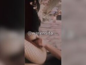 Warensita pt3