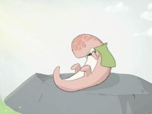 rya.mp4