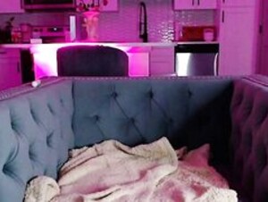 sofiaswetdreams show on 2023-05-18 03-18, Chaturbate