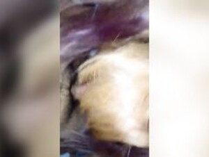 laumeow gets an epic fuck