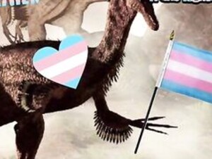 Transaurus