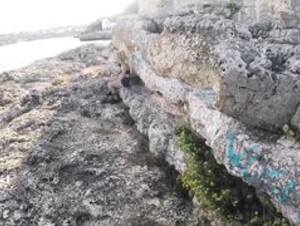 Jade Vow - Travel Exploits Vol 1. Mallorca