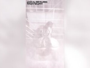 yuyuhwa curtain look book 2