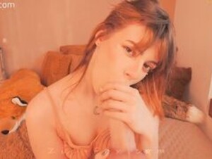 ziafox