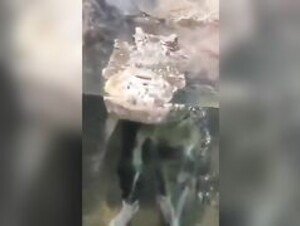 Drip Gator