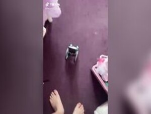 Tiktok video